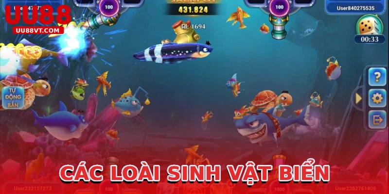 cac-loai-sinh-vat-bien