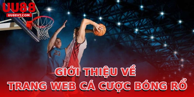 gioi-thieu-ve-trang-web-ca-cuoc-bong-ro