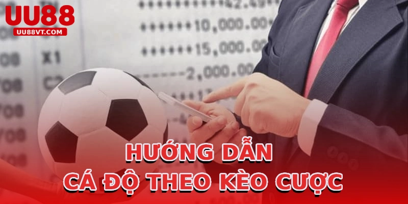 huong-dan-ca-do-theo-keo-cuoc
