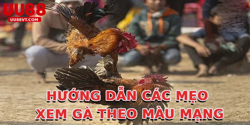 huong-dan-cac-meo-xem-ga-theo-mau-mang