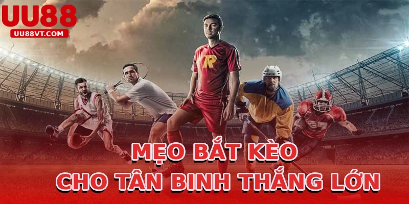 meo-bat-keo-cho-tan-binh-thang-lon