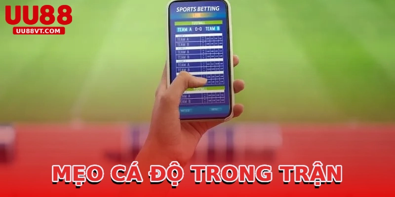 meo-ca-do-trong-tran