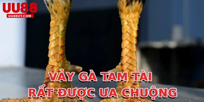 vay-ga-tam-tai-rat-duoc-ua-chuong